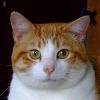 Timmy Posing