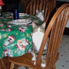 When do we eat?