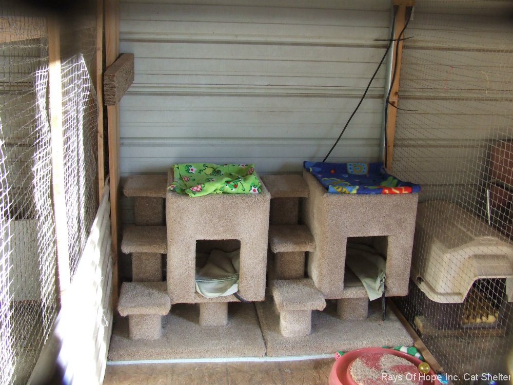 A few of our Cat Condos