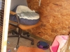 Inside a Shelter cat room